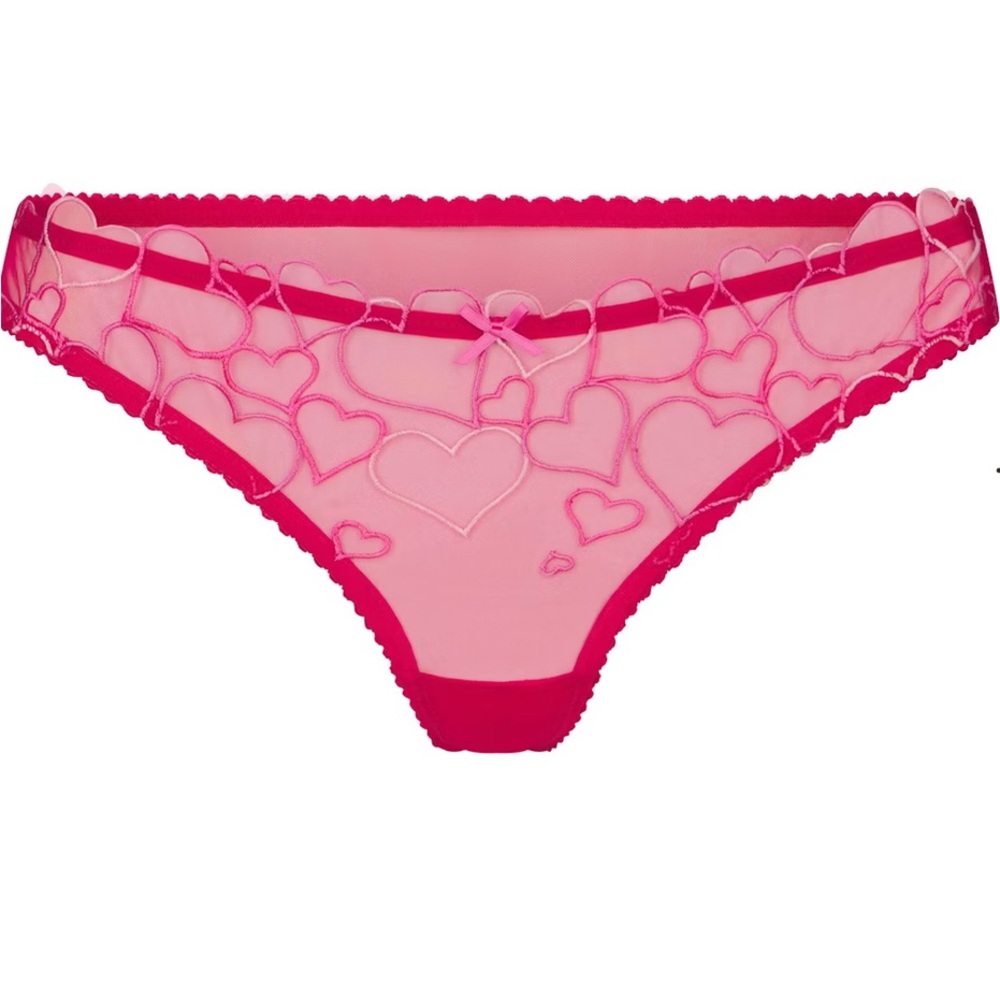 Skims Embroidered Tulle Thong